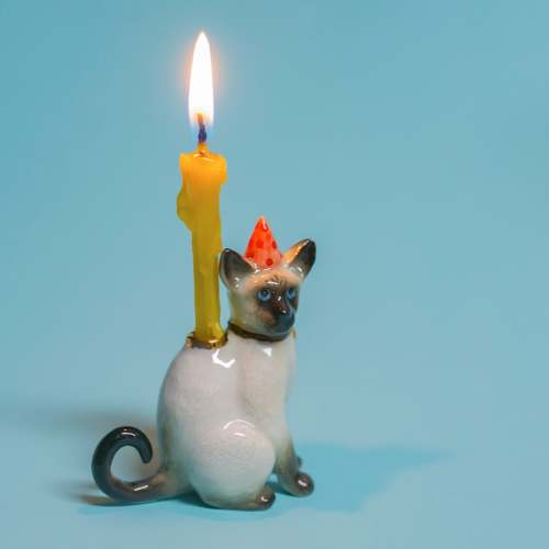 Siamese Cat Cake Topper | Porcelain Party Animal | Cat Candle Holder