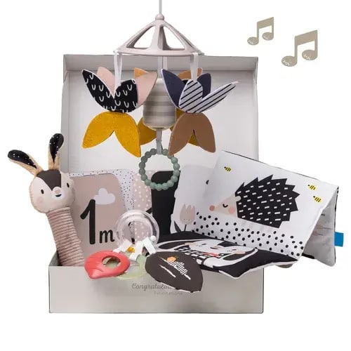 Taf Toys Newborn Black And White Kit | Baby Bunting AU