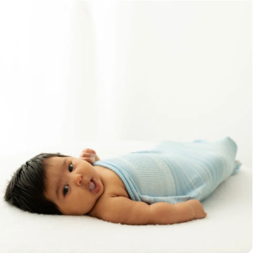 Blue Swaddle Sleep Sack – Swaddelini