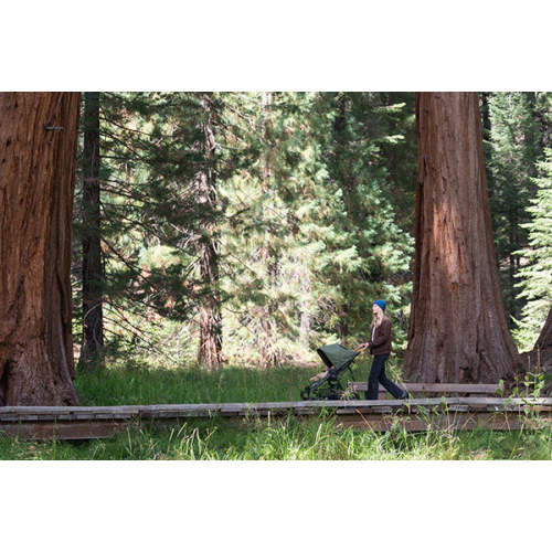 Bassinets – Bumbleride