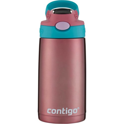 Contigo Kids Straw Stainless Steel Water Bottle with AUTOSPOUT Lid 13oz Punch
