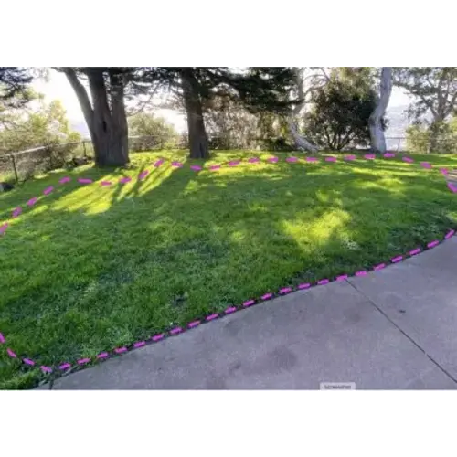 Donate to Help Build a Nature Exploration Area at The Randall Museum!