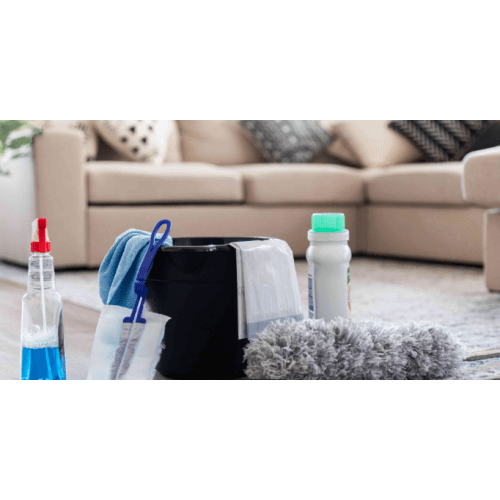 Deep Cleaning Fund - Goal of $300