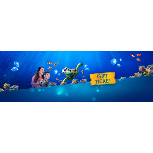 Gift Tickets | SEA LIFE at Mall of America