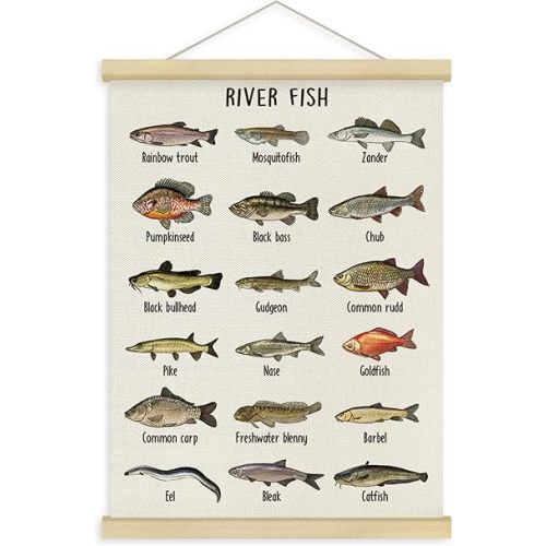 Fewgb River Fish Breed Wall Art Decor for Fish Lovers Fishermen Room Bedroom Classroom, Freshwater Fishing Reference Chart Hanging Poster Framed with Hanger Picture Prints 12x16
