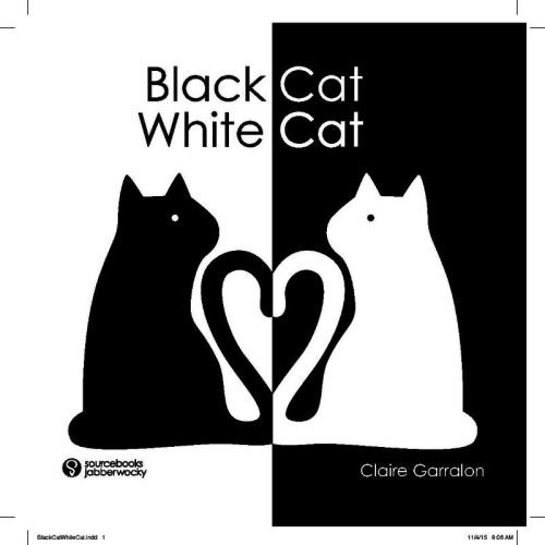Black Cat & White Cat by Claire Garralon | Tombolo Books