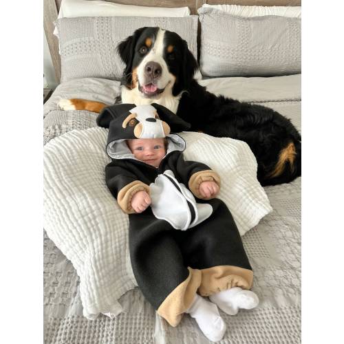 Bernese Dog Fleece Hooded Jumpsuit Costume for Baby Toddler or Child