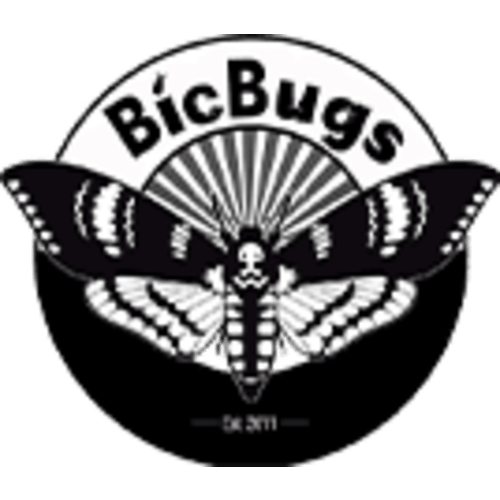 Mixed lot of assorted real beetles and bugs for sale - BicBugs