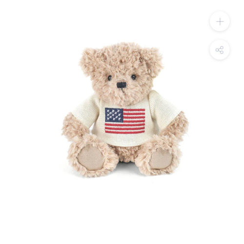USA Teddy Bear SM