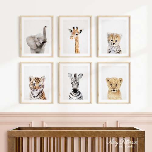 Baby Safari Animal Prints: Nursery Wall Art, Set of 6 (Unframed)