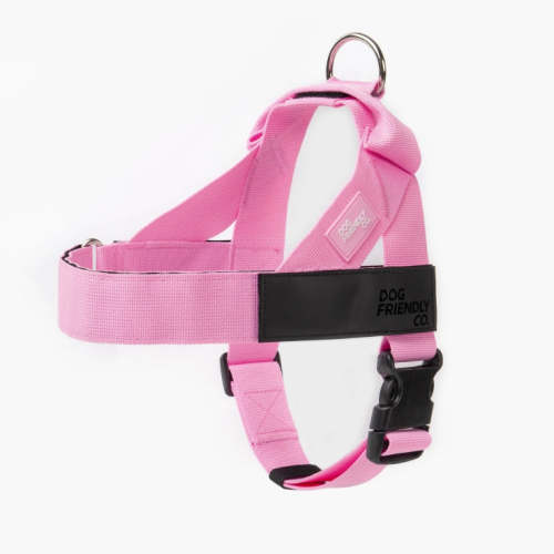 Personalized No-Pull Dog Harness - Pink – Dog Friendly Co.