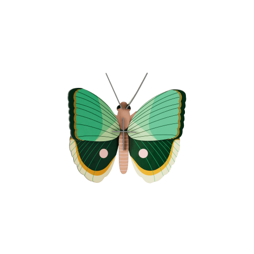 Fern Striped Butterfly - Studio ROOF