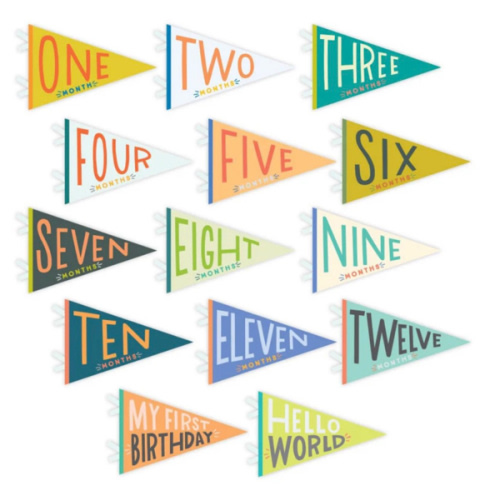 Little Kaleidoscope Petit Milestone Pennants