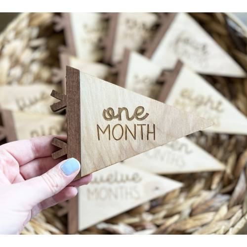 Baby Monthly Milestones Photo Prop - Pennant Flag Monthly Milestone Marker