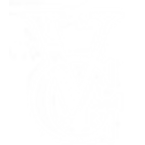 Maverick & Ventura Stroller Back Seat/Upper Seat Adapters – VeniceChild