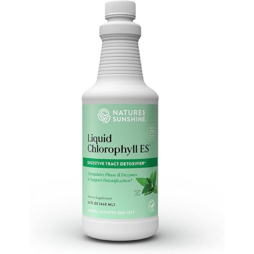 Nature's Sunshine Liquid Chlorophyll Extra Strength - Immunity Support, Detox & Cleanse, Chlorophyll Liquid Drops with Spearmint Oil, Natural Energy Boost, Internal Deodorant - 16 Fl Oz