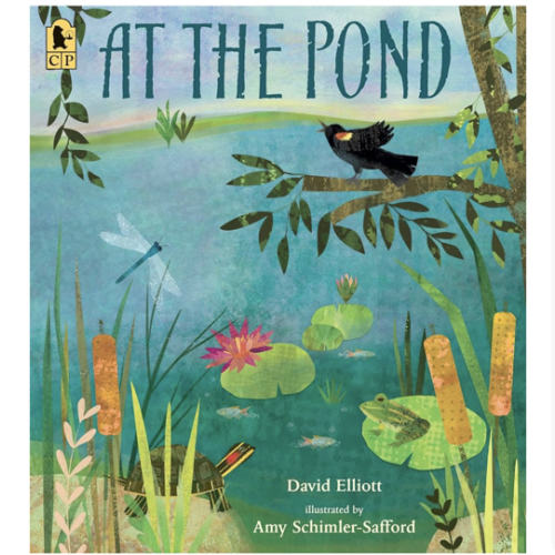 At the Pond (Paws, Fins, Feathers, Claws)