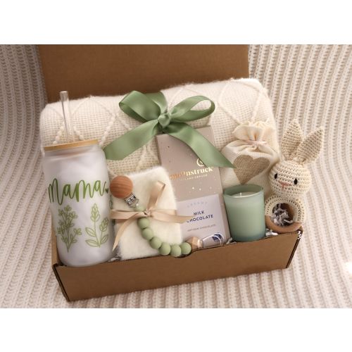 New Baby Gift Box, Congrats On Your New Baby, New Mama Succulent Gift Box, Congratulations Pregnancy Gift Set, Live Succulent Care Package