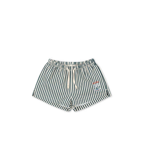 SEER ASNOU SWIMSHORTS - sea moss