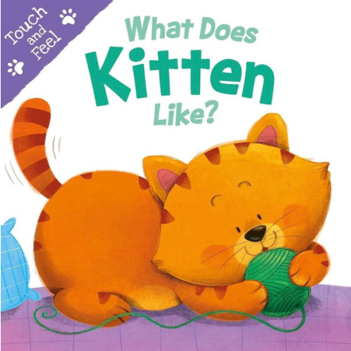 What Does Kitten Like?: Touch & Feel Board Book (Touch and Feel)