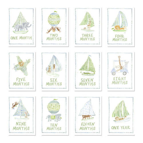 Baby Milestone Cards: Menagerie Blue Set
