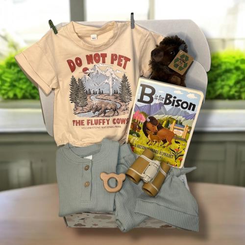 National Parks Baby Gift Box - Bison Onesie, Plush and Book 3-6 Mo Yellowstone