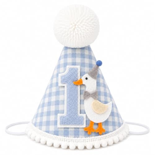 One Funny Goose Birthday Hat - Goose 1st Birthday Decorations