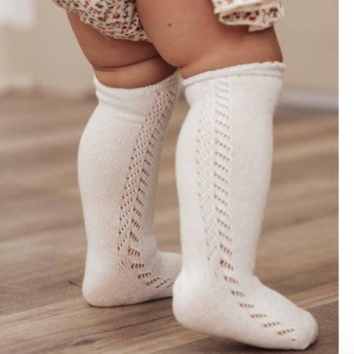 French Lace Socks – The Honey and Bro Co.
