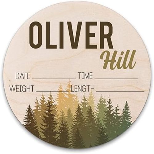 Birth Stat Sign Personalized for Newborn Baby, Oliver Hill Design, Crib & Nursery Decor, Photography Prop, Baby Shower Gifts, Gender Reveal, Pregnancy Announcement, Hickory Hollow Designs