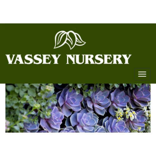 Vassey Nursery