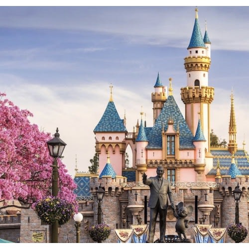 Dayami's Disneyland Fund