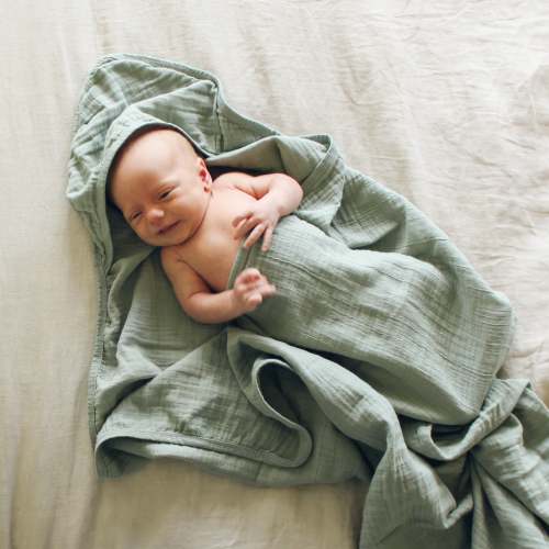 Hooded Towel Fern