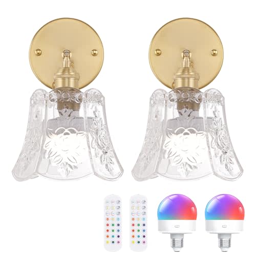 Shenmoyl Vintage Battery Operated Wall Sconces Set of Two, Wireless Battery Powered Rose Wall Sconce with Remote Control, RGB Dimmable LED Wall Light for Bedside Indoor Living Room (Transparent)