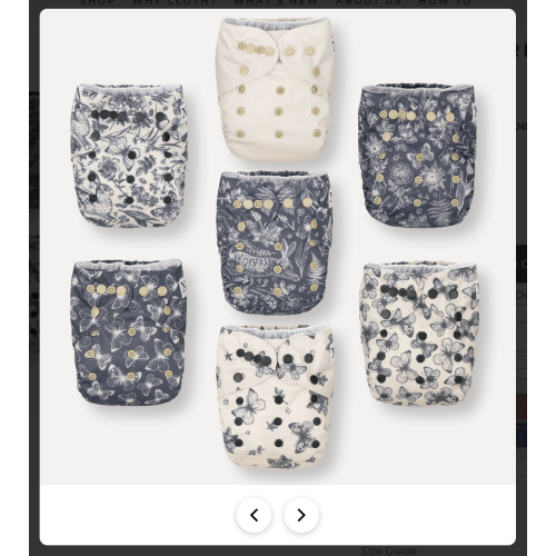 Country Garden Reusable Diaper Set