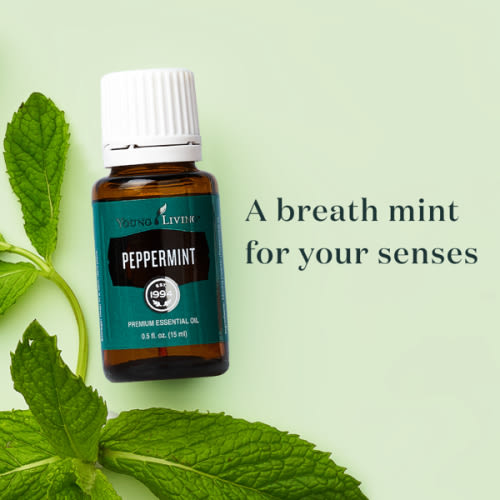 Peppermint Essential Oil