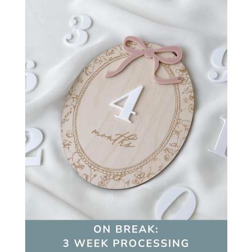 Baby Month Milestone Girl Baby Milestone Card Baby Girl Nursery Decor Personalized Baby Milestone Marker Gift Baby Girl Milestone Sign Bow