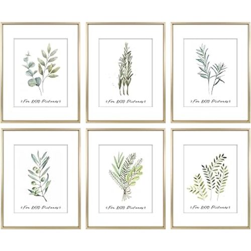 Golden State Art, 11x14 Gold Picture Frame Displays Photo 8x10 with Mat or 11 x 14 Without Mat for Wall Mounting, Classic Satin Aluminum Frames with Real Glass (Pack of 6)