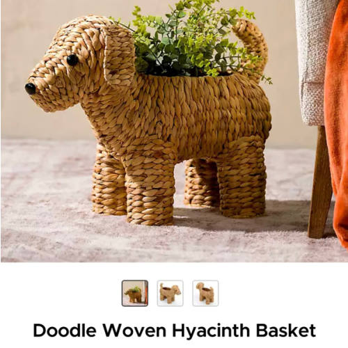 Doodle Woven Hyacinth Basket | Kirklands Home