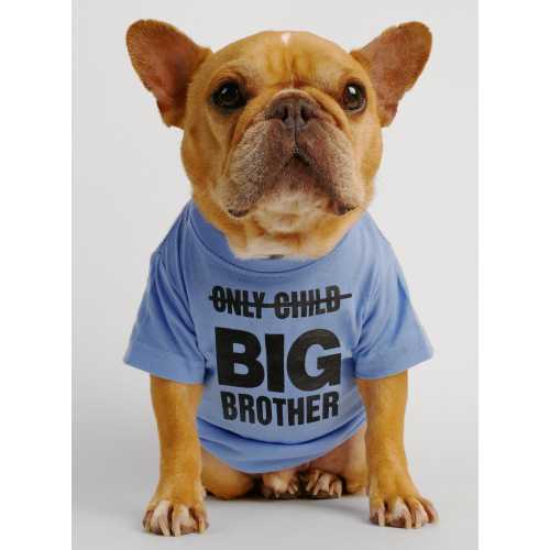Big Brother (Only Child) Dog Tee