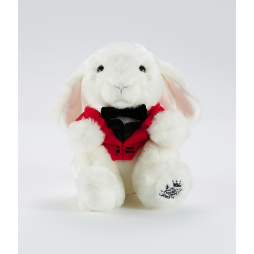 Bemmy, the Beloved Bunny