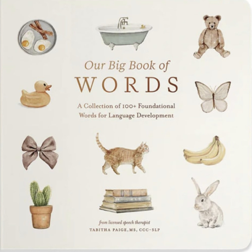 Our Big Book of First Words