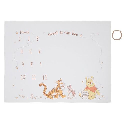 Disney's Winnie the Pooh Milestone Blanket