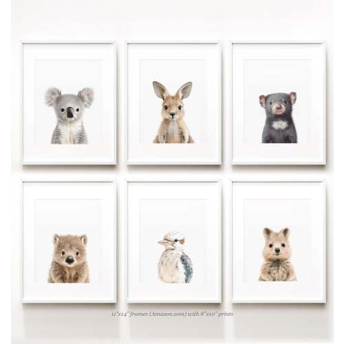 Nursery Art Baby Australian Animals Set of 6 - Printable Art Package - Poster Prints for Nursery and Kids' Rooms – The Crown Prints