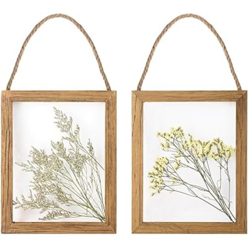 NIKKY HOME Dried Flowers Grass Wall Art Set of 2 Natural Plant Artwork with Clear Glass Display Frame and Jute Rope Gallery Wall Decor Living Room Decor