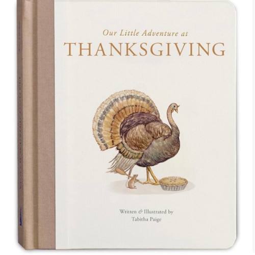 Amazon.com: Our Little Adventure at Thanksgiving: Featuring Foundational Language Concepts and Lessons on Gratitude (Tabitha Paige Children's Book Series)