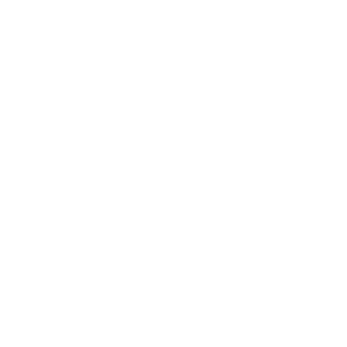 Reusable Pocket Diapers – Dino Diapers