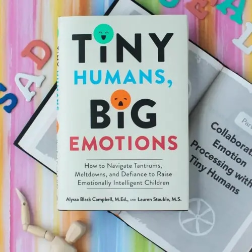 Tiny Humans, Big Emotions: How to Navigate Tantrums, Meltdowns, | Black Friday Sale TikTok Shop