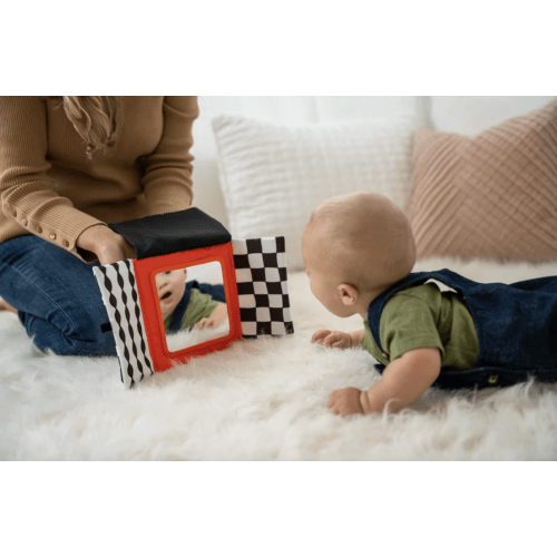 Wimmer Peek & Go Mirror