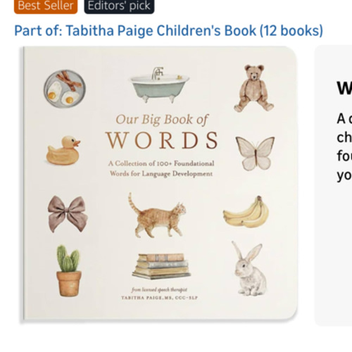 Our Big Book of First Words: A Collection of 100+ Foundational Words for Language Development (Tabitha Paige Children's Book Series)