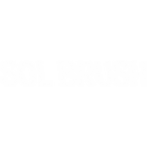 Sol Brush SPF 50 - Largest Mineral Sunscreen Brush – SolBrush